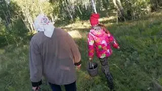 Мои садовые романсы. А вы ходили за грибами?! Часть вторая . Удачная!