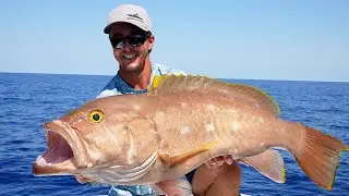 HUGE Groupers in 600'! Bait and Slow Pitch Jigs! (Catch/Clean/Cook)