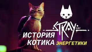 STRAY # Где найти энергетики (энергетические напитки)?