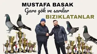 🥉MUSTAFA BASAK (BIZIKLATANLAR)🥉