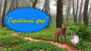 Повчальна історія 