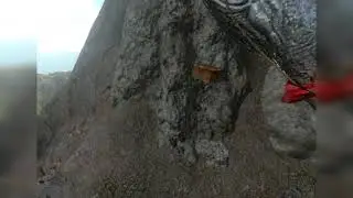 wTf