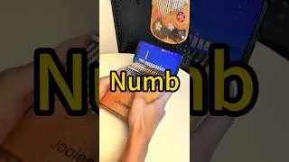 Numb 