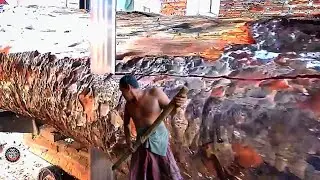 Sawing Awesome Branched Wood || Sawmill #1