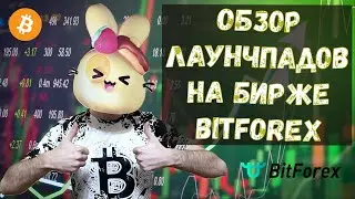 Как заработать на лаунчпад Bitforex / обзор токенсейлов Turbo Starter на бирже Битфорекс