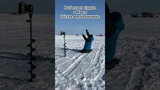 Внезапная Поклёвка Судака! Рыбалка на судака в марте на Обском водохранилище. #судакзимой #судак