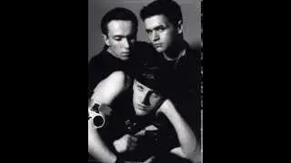 Boytronic - My Baby lost it`s Way