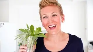 How to Chiffonade!