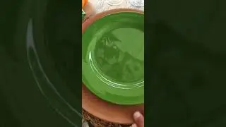 Mesa posta em tom de verde e Laranja