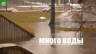 Красный -это не зелёный. Горожан подтопило.