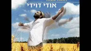 אודי דוידי - דמעות