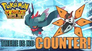 This Combo is BROKEN In Series2! | Pokémon Scarlet and Violet VGC