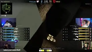Обезьяна на Строго