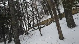 Плюсы и Минусы Жизни в Кисловодске и регионе КМВ