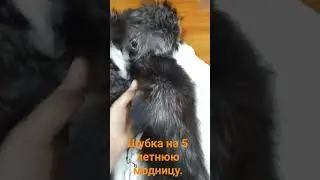 как сшить  натуральную шубку  для дочери.