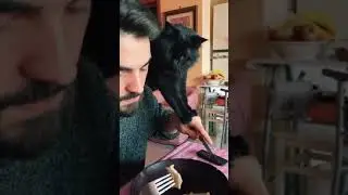 Самая быстрая лапа