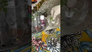 Проблемы с рассадой.