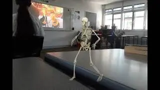 another dancing skeleton because thats what my subs want to see