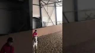 Конный спорт🤪Конкур~