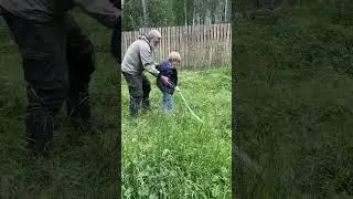 Готовимся к покосу. #природа