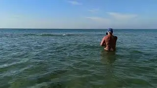 Дельфины Витязево 15.09.2021