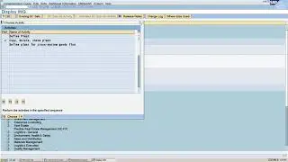 How to create a Plant in SAP