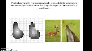 Basics of Digital Image Processing