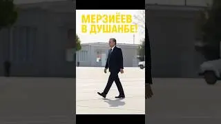 Мерзиёев в Душанбе: Новый союз!