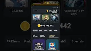 комбо в  HAMSTER KOMBAT на 24 августа