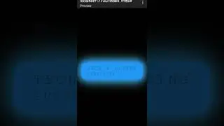 css text style / css button animation 