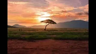 DeepNatives - Angola Deep
