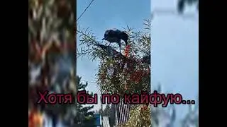 Снова стою одна