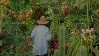 Novo Amor 565 Fund - Anatome by Novo Amor & Lowswimmer from album 'Heiress'. Film by Adri Carrandi