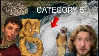 Venomous Snakes during a Hurricane with @ChandlersWildLife