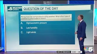 Weather Quiz: Mosquitoes | NBC DFW