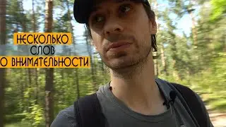 Несколько слов о внимательности