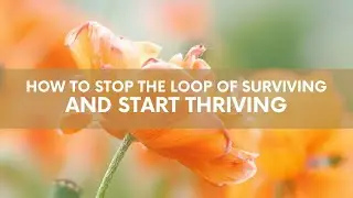 How to Stop Surviving & Start Thriving