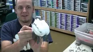 Tyranid Starcraft-inspired Conversions for Warhammer 40K