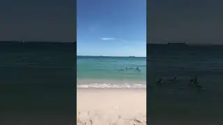 Celebrities abandoned California for South Florida for this! Can you blame them?