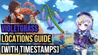 Violetgrass Locations Guide [With Timestamps] | Genshin Impact Farming Route
