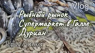 Шри-Ланка. Рыбный рынок. Супермаркет в Галле Arpico. Пробуем дуриан.