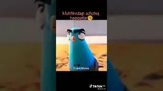 MULTFILIMLARDAGI MANOLI SO‘ZLAR