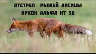 Ночные выстрелы (часть 8). Отстрел лисиц в период активного гнездования диких курообразных.