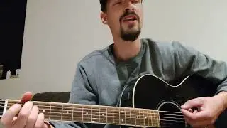can't poop in strange places - family guy's peter and quagmire guitar cover