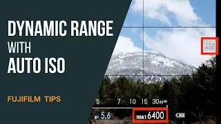 Using Fujifilm's Dynamic Range with Auto ISO