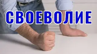 Своеволие