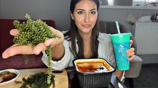 АСМР ИТИНГ МОРСКОЙ ВИНОГРАД / ЛАПША САМОРАЗОГРЕВАЮЩАЯСЯ / МУКБАНГ / ASMR SEA GRAPES MUKBANG NOODLES