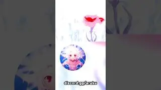 авы в нашем дискорде 