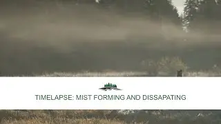 Time-lapse: Mist Forming and Dissipating