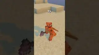 How Many Subs A Day!?